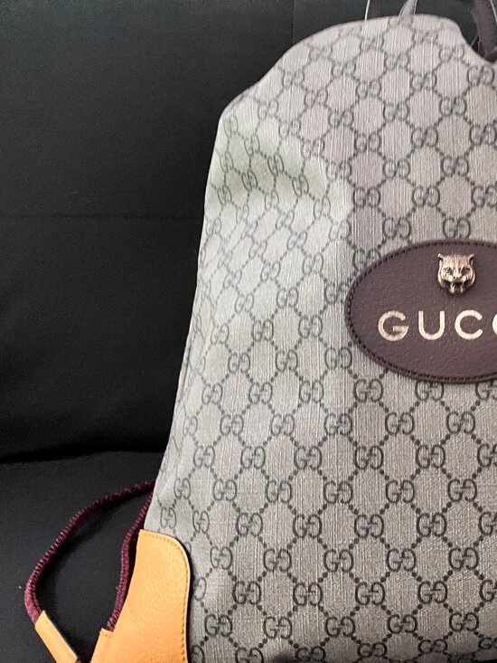 Gucci Supreme Monogram Tiger Head DrawString BackPack Neo Vintage Dust Bag main image 11